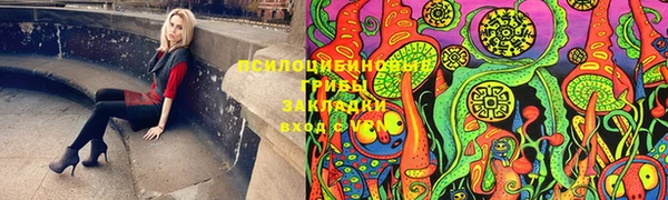метадон Магас