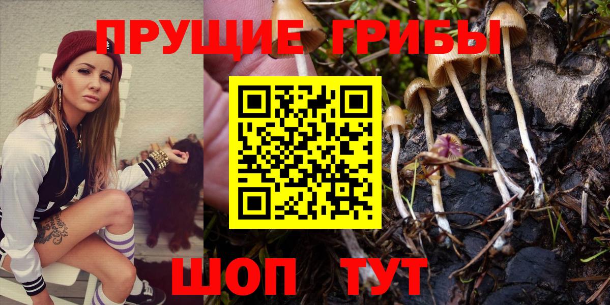 Псилоцибиновые грибы ЛСД  Псилоцибиновые грибы мицелий  Вход с VPN  Добрянка 