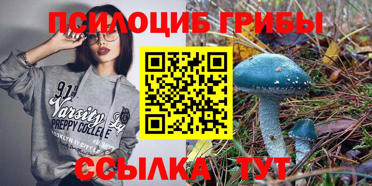 Галлюциногенные грибы GOLDEN TEACHER Добрянка