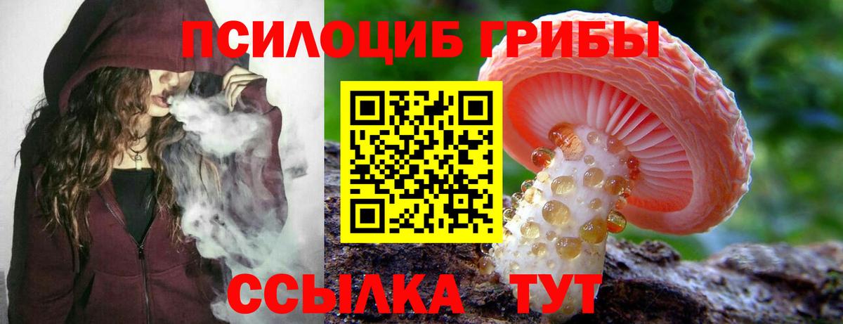 Бошки Шишки Добрянка