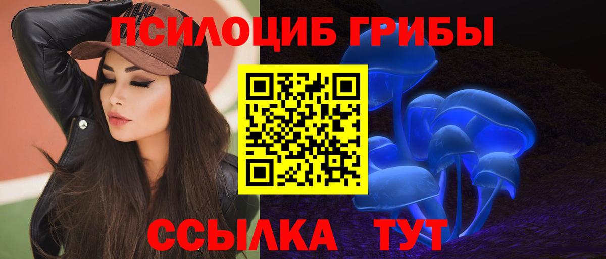 цена   Галлюциногенные грибы GOLDEN TEACHER  Добрянка  Псилоцибиновые грибы GOLDEN TEACHER 