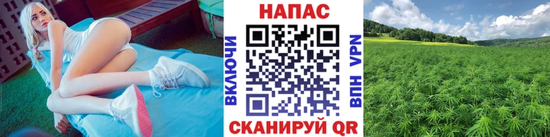 Шишки марихуана гибрид  Добрянка 